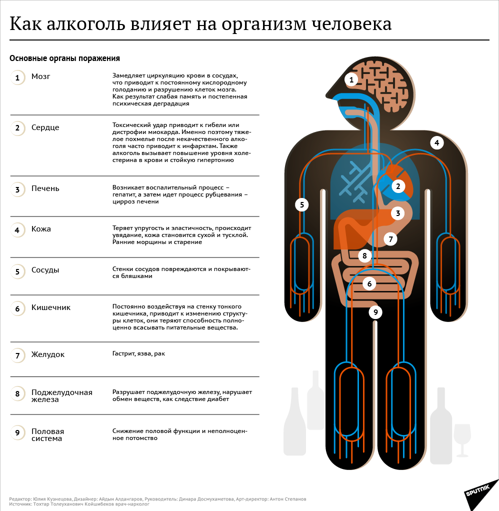 Проверить машину на наличие арестов и ограничений