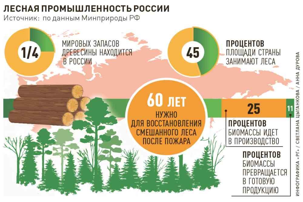 Современные Проблемы Лесопользования Реферат По Экологии