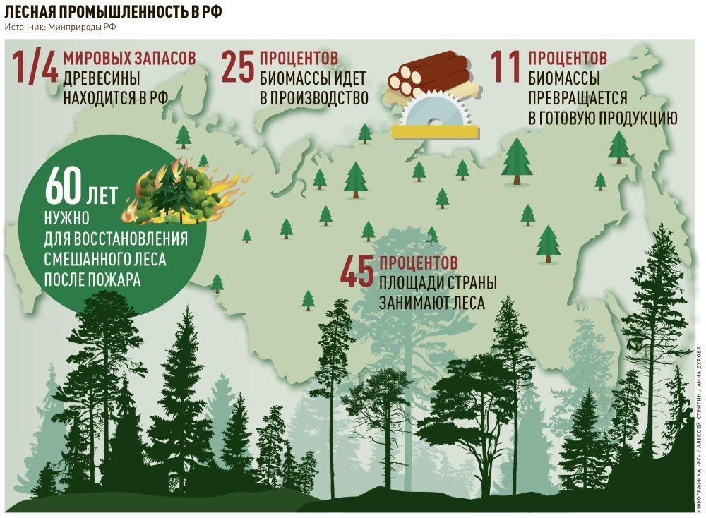 Количество лесов в россии. Лесной комплекс ЛПК отрасли. Тенденции развития Лесной промышленности. Лесня промышленность Росси. Лесное промыленность Росси.