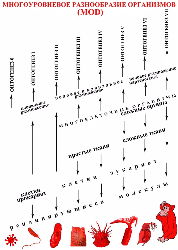 Результаты поиска