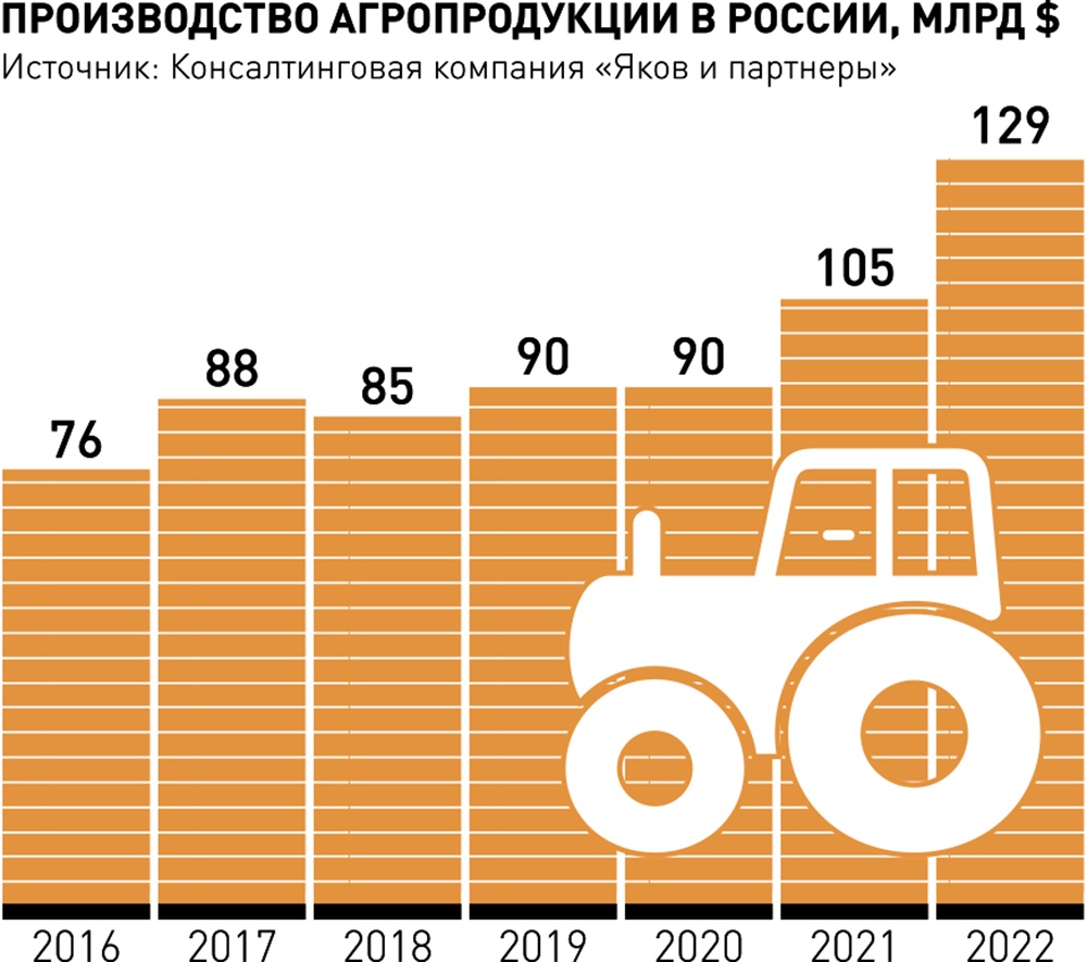 Рядовка фиолетовая