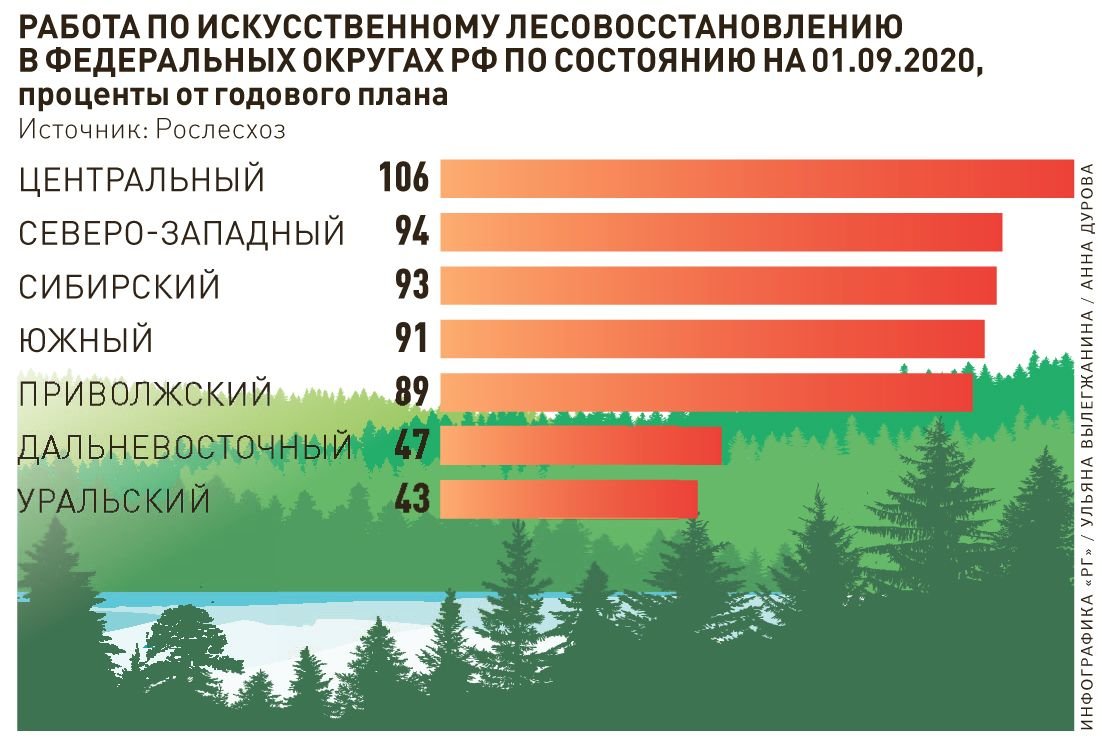 Правила лесовосстановления 1024. Проблема лесовосстановления в России. Страны Лидеры по лесовосстановлению. Проект по лесовосстановлению. Проблемы лесовосстановление.